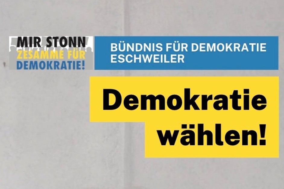Bild Video